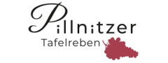 Pillnitzer Tafelreben 